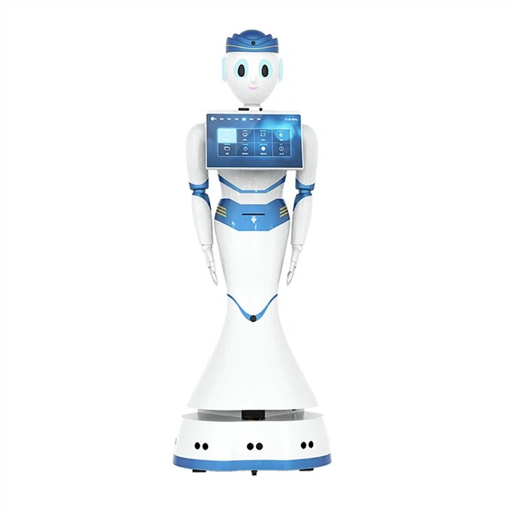 Exhibition Hall Visitor Reception Robot high quality